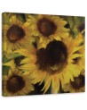 Canvas prints for living room - Bouquet of yellow sunflowers | FEEBY