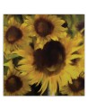 Canvas prints for living room - Bouquet of yellow sunflowers | FEEBY