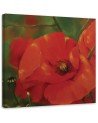Hand-painted Canvas painting - Red poppies in a meadow | FEEBY