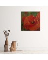 Hand-painted Canvas painting - Red poppies in a meadow | FEEBY