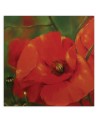 Hand-painted Canvas painting - Red poppies in a meadow | FEEBY