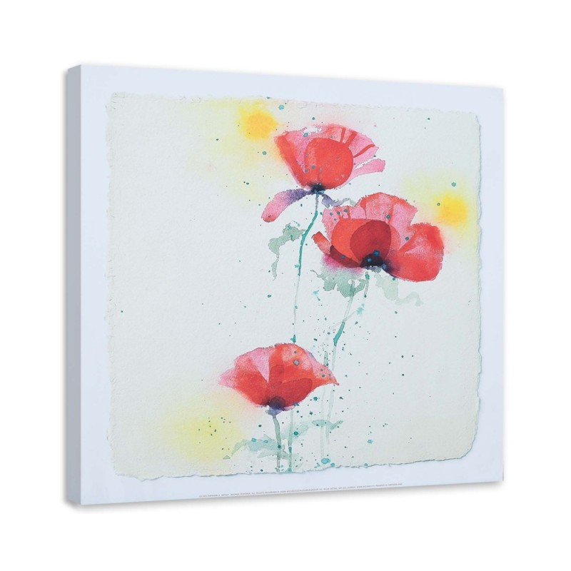 Canvas prints for living room - Painted red poppies | FEEBY