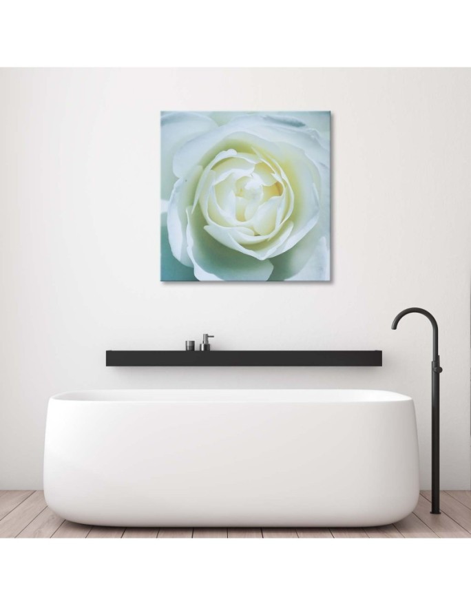 Hand-painted pictures on Canvas - White rose macro | FEEBY