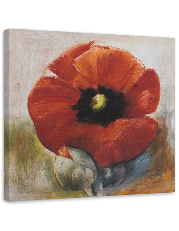 Canvas painting - Poppy flower | FEEBY