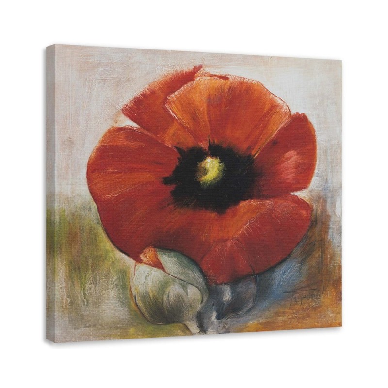 Canvas painting - Poppy flower | FEEBY