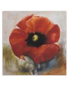 Canvas painting - Poppy flower | FEEBY
