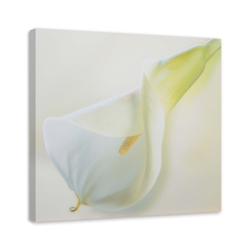 Hand-painted Canvas painting - White calla flower plant nature | FEEBY
