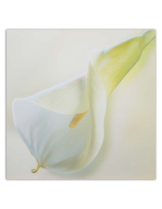 Hand-painted Canvas painting - White calla flower plant nature | FEEBY