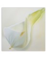 Hand-painted Canvas painting - White calla flower plant nature | FEEBY