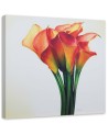 Canvas prints as hand-painted - Kalias bouquet of red flowers | FEEBY