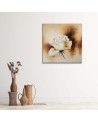 Hand-painted Canvas painting - White vintage rose | FEEBY
