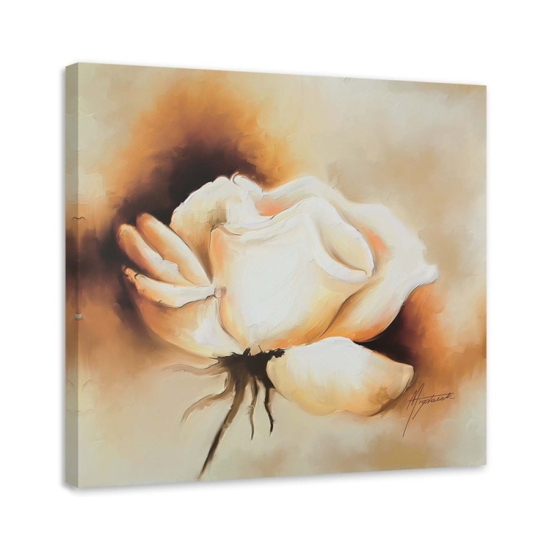 Living room Canvas painting - Cream rose flower | FEEBY
