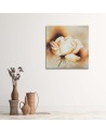 Living room Canvas painting - Cream rose flower | FEEBY