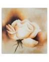 Living room Canvas painting - Cream rose flower | FEEBY