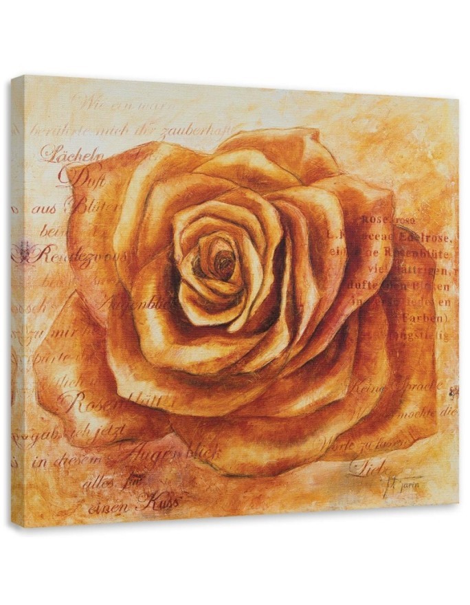 Hand-painted painting - Orange rose flower | FEEBY