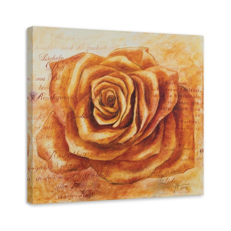 Hand-painted painting - Orange rose flower | FEEBY