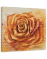 Hand-painted painting - Orange rose flower | FEEBY