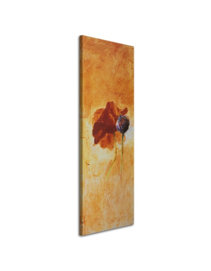 Canvas print Poppy flower...