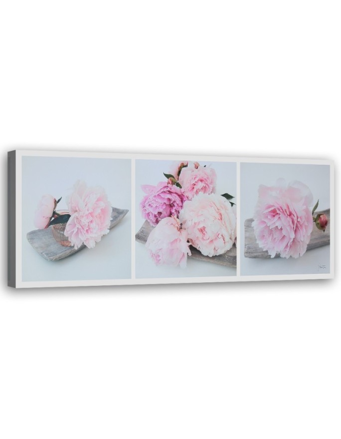 Pink peonies flowers - Painting as if by hand painted | FEEBY