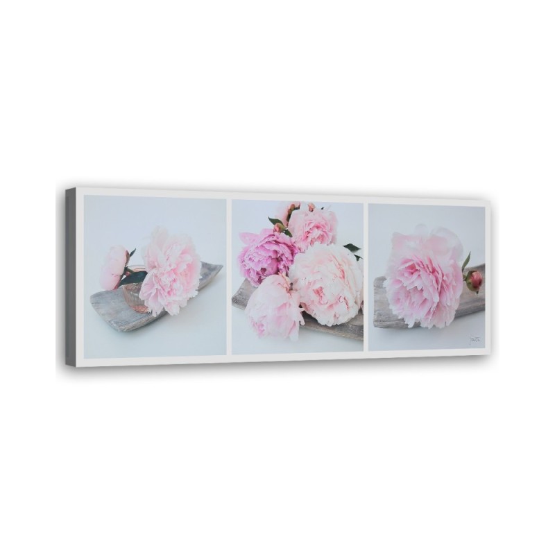 Pink peonies flowers - Painting as if by hand painted | FEEBY