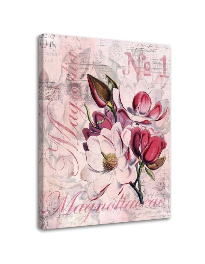 Magnolias on pink background Andrea Haase - Vintage style Canvas painting | FEEBY