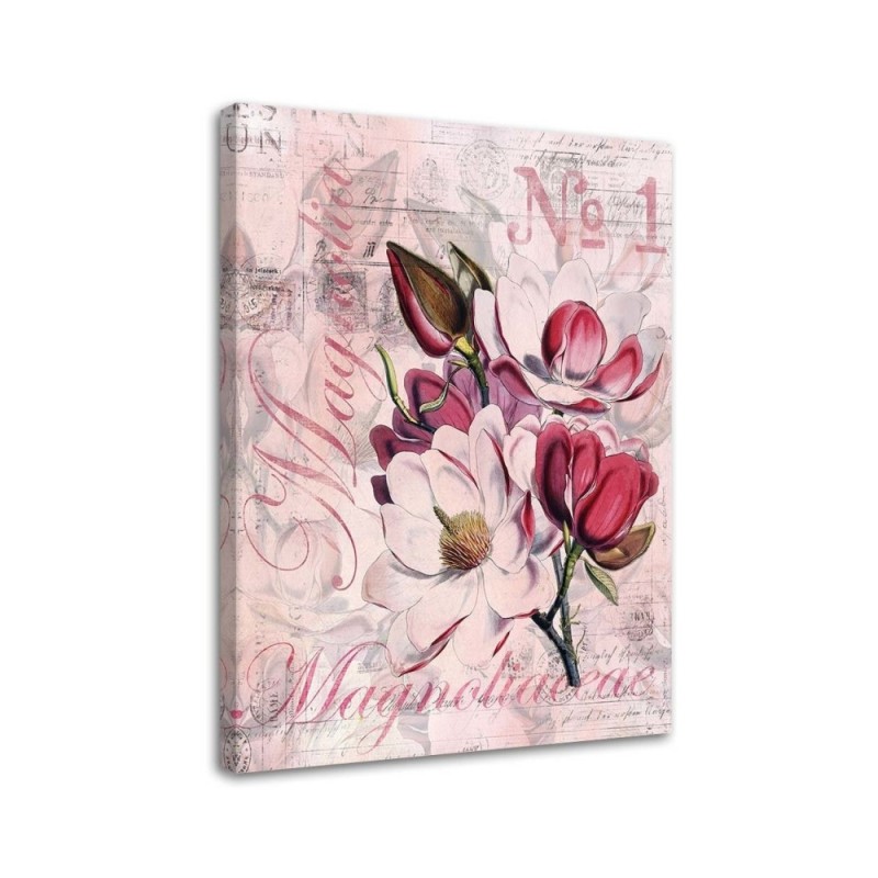 Magnolias on pink background Andrea Haase - Vintage style Canvas painting | FEEBY