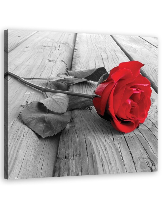 Vintage style Canvas prints - Red rose floral | FEEBY