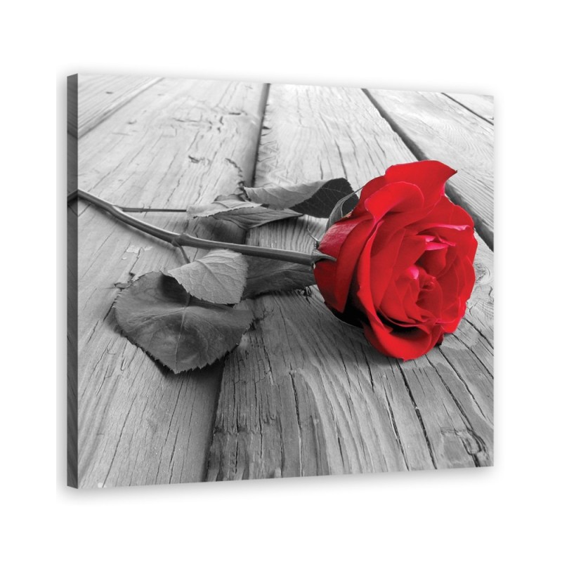 Vintage style Canvas prints - Red rose floral | FEEBY