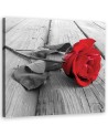 Vintage style Canvas prints - Red rose floral | FEEBY