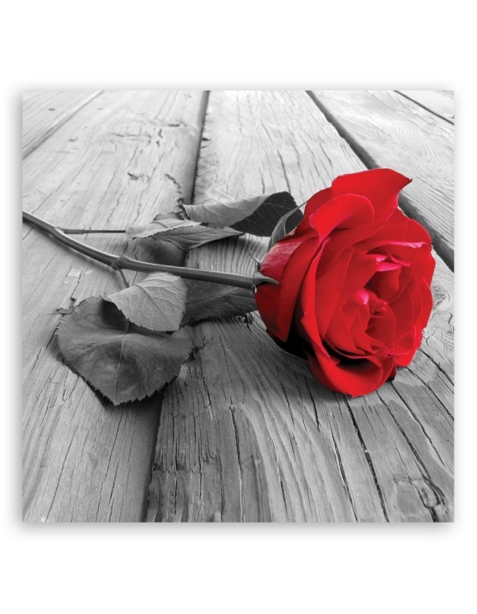 Vintage style Canvas prints - Red rose floral | FEEBY