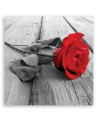 Vintage style Canvas prints - Red rose floral | FEEBY
