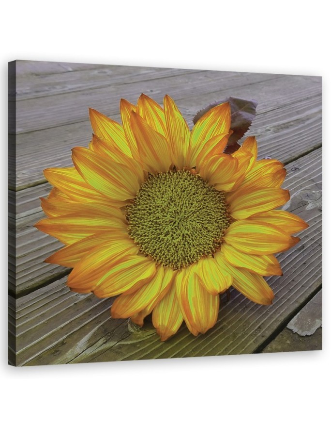 Canvas prints for the kitchen - Yellow sunflower | FEEBY