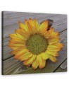 Canvas prints for the kitchen - Yellow sunflower | FEEBY