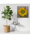 Canvas prints for the kitchen - Yellow sunflower | FEEBY