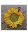 Canvas prints for the kitchen - Yellow sunflower | FEEBY