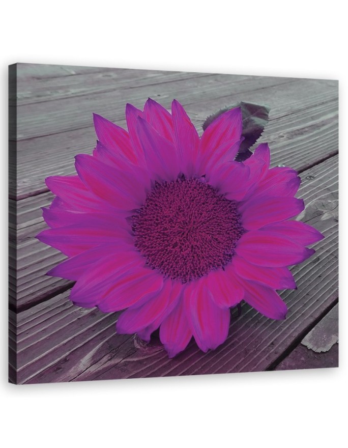 Canvas prints for the kitchen - Pink sunflower | FEEBY
