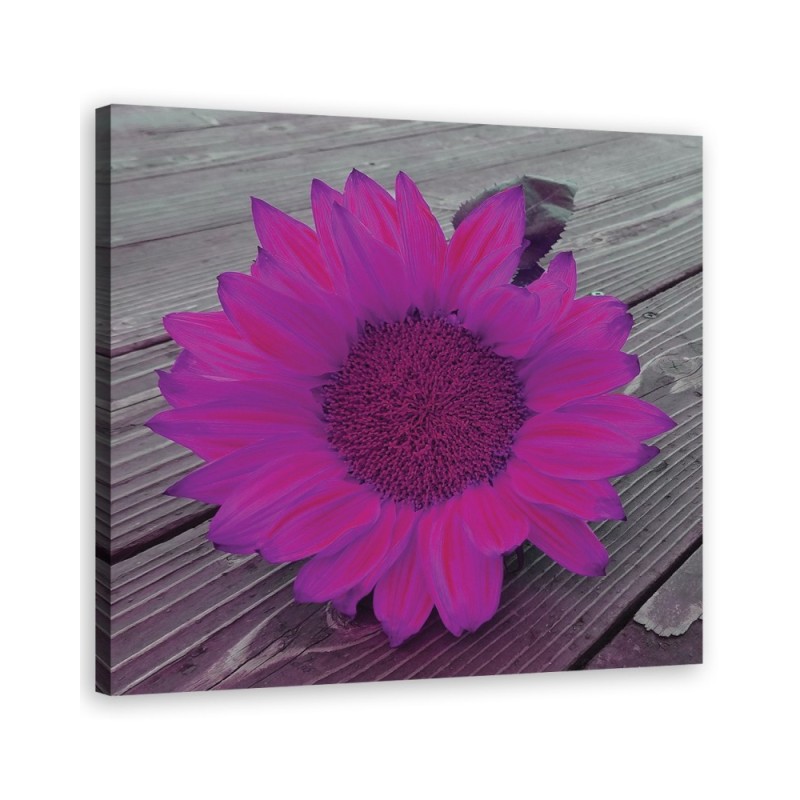 Canvas prints for the kitchen - Pink sunflower | FEEBY