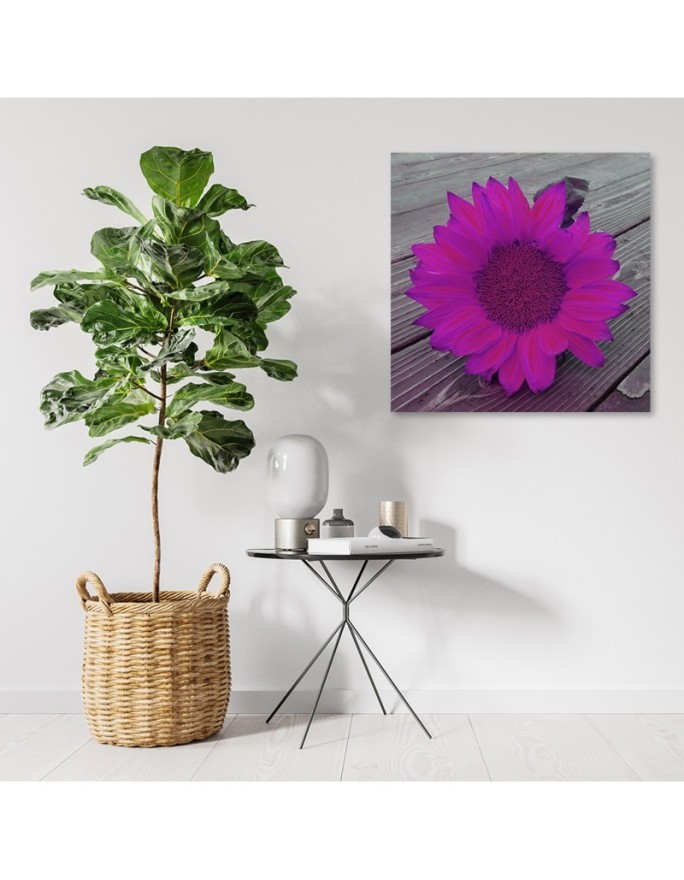 Canvas prints for the kitchen - Pink sunflower | FEEBY