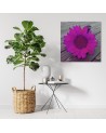 Canvas prints for the kitchen - Pink sunflower | FEEBY
