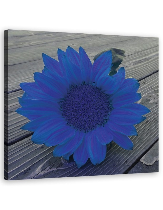 Canvas prints for kitchen - Blue sunflower | FEEBY