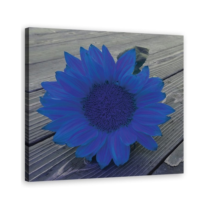 Canvas prints for kitchen - Blue sunflower | FEEBY