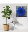 Canvas prints for kitchen - Blue sunflower | FEEBY