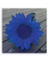 Canvas prints for kitchen - Blue sunflower | FEEBY
