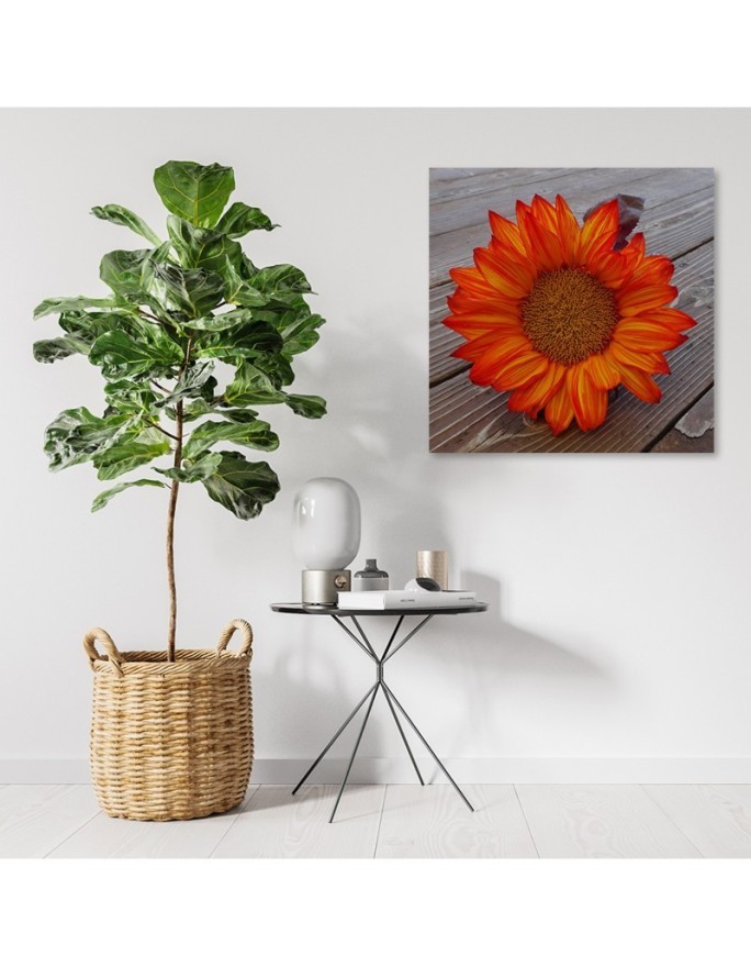 Canvas prints for the kitchen - Orange sunflower | FEEBY