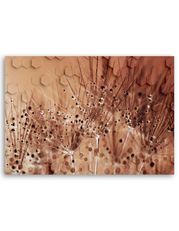 Modern canvas painting - Dandelion and dewdrops | FEEBY