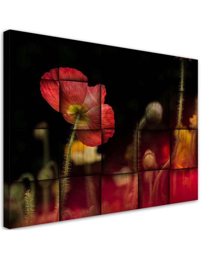 Red poppy blossom - Canvas prints for living room canvas | FEEBY