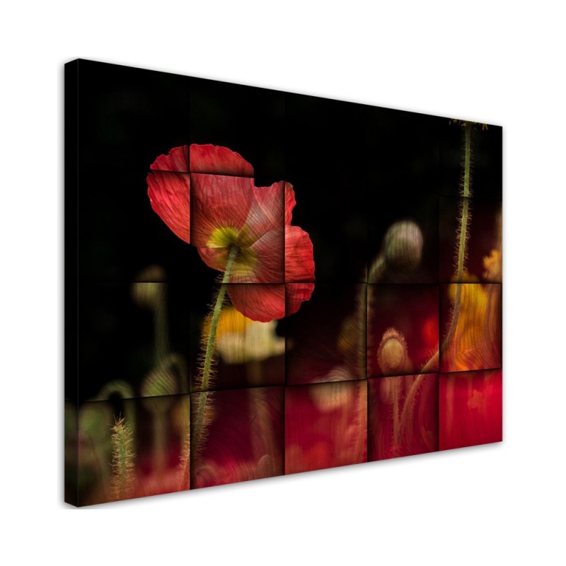 Red poppy blossom - Canvas prints for living room canvas | FEEBY