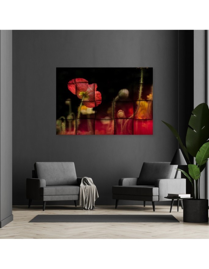 Red poppy blossom - Canvas prints for living room canvas | FEEBY