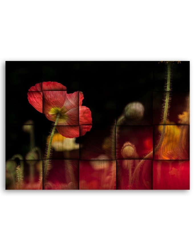 Red poppy blossom - Canvas prints for living room canvas | FEEBY