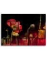 Red poppy blossom - Canvas prints for living room canvas | FEEBY